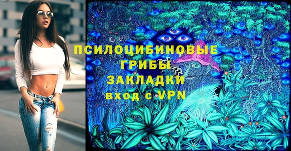 мяу мяу мука Арсеньев