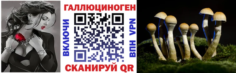 Псилоцибиновые грибы GOLDEN TEACHER  MEGA ссылка  Светлогорск 