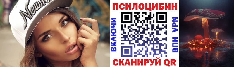 Псилоцибиновые грибы мухоморы Светлогорск